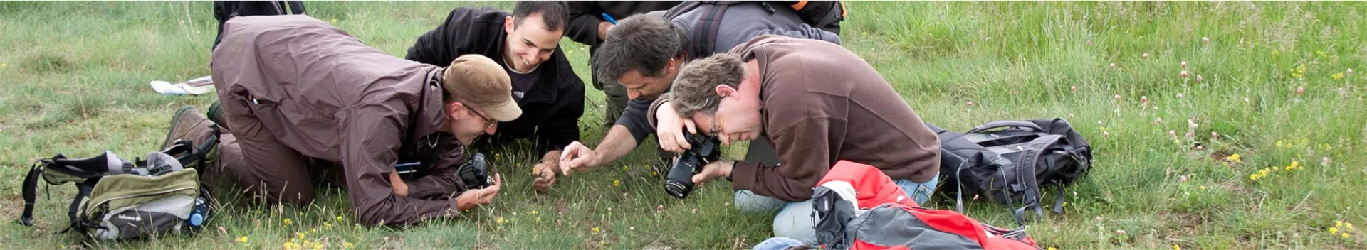 Observation du conservatoire d'espaces naturels de Bourgogne