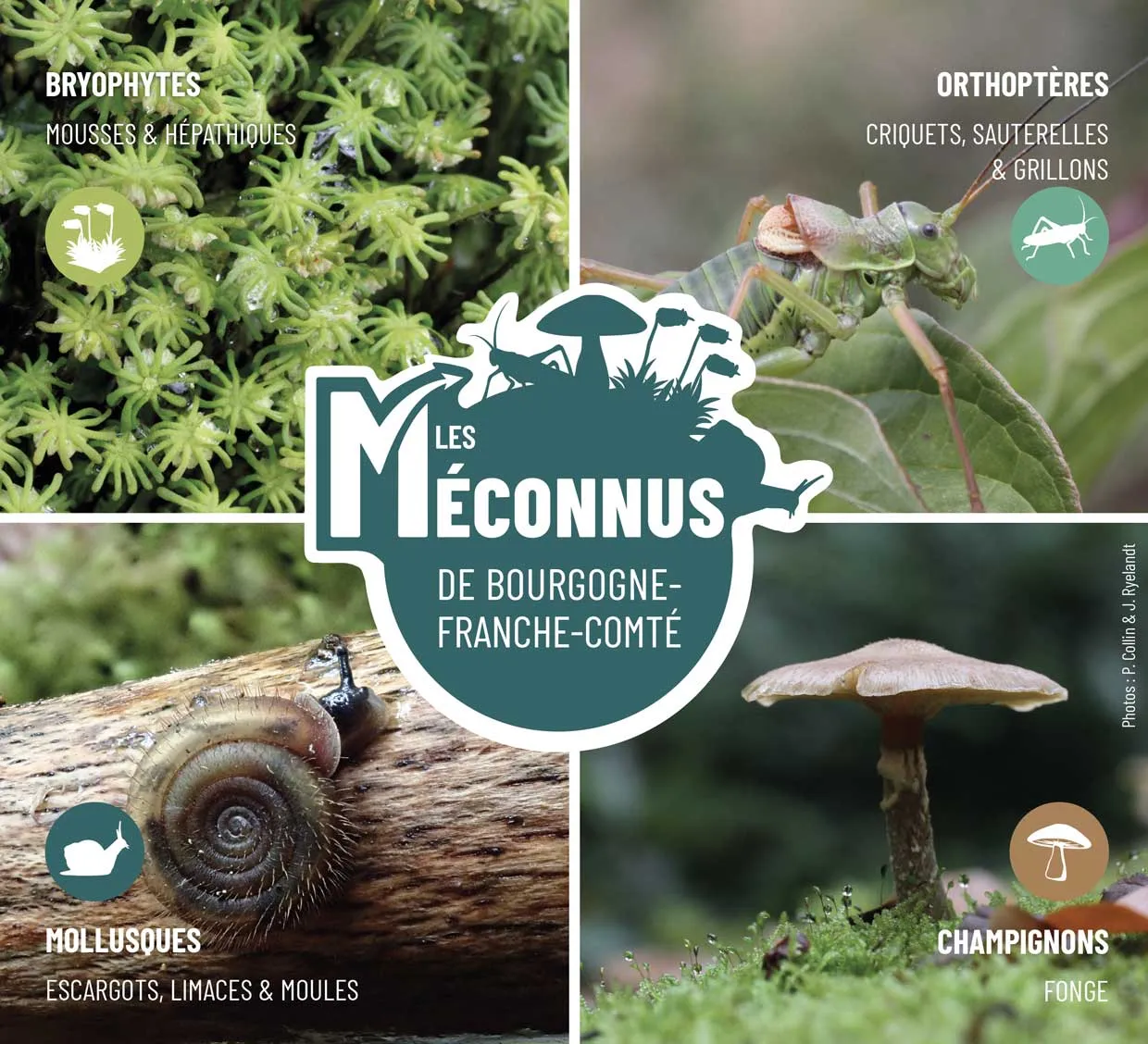 Les méconnus de Bourgogne-Franche-Comté 