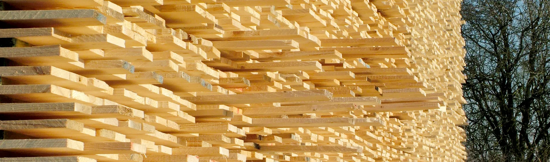 Société Jurassienne des Bois Secs