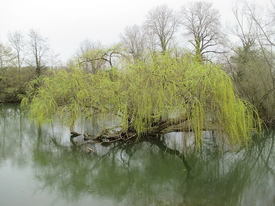 rivière Ognon en Franche-Comté