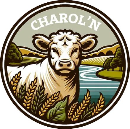 logo du projet CHAROL'N