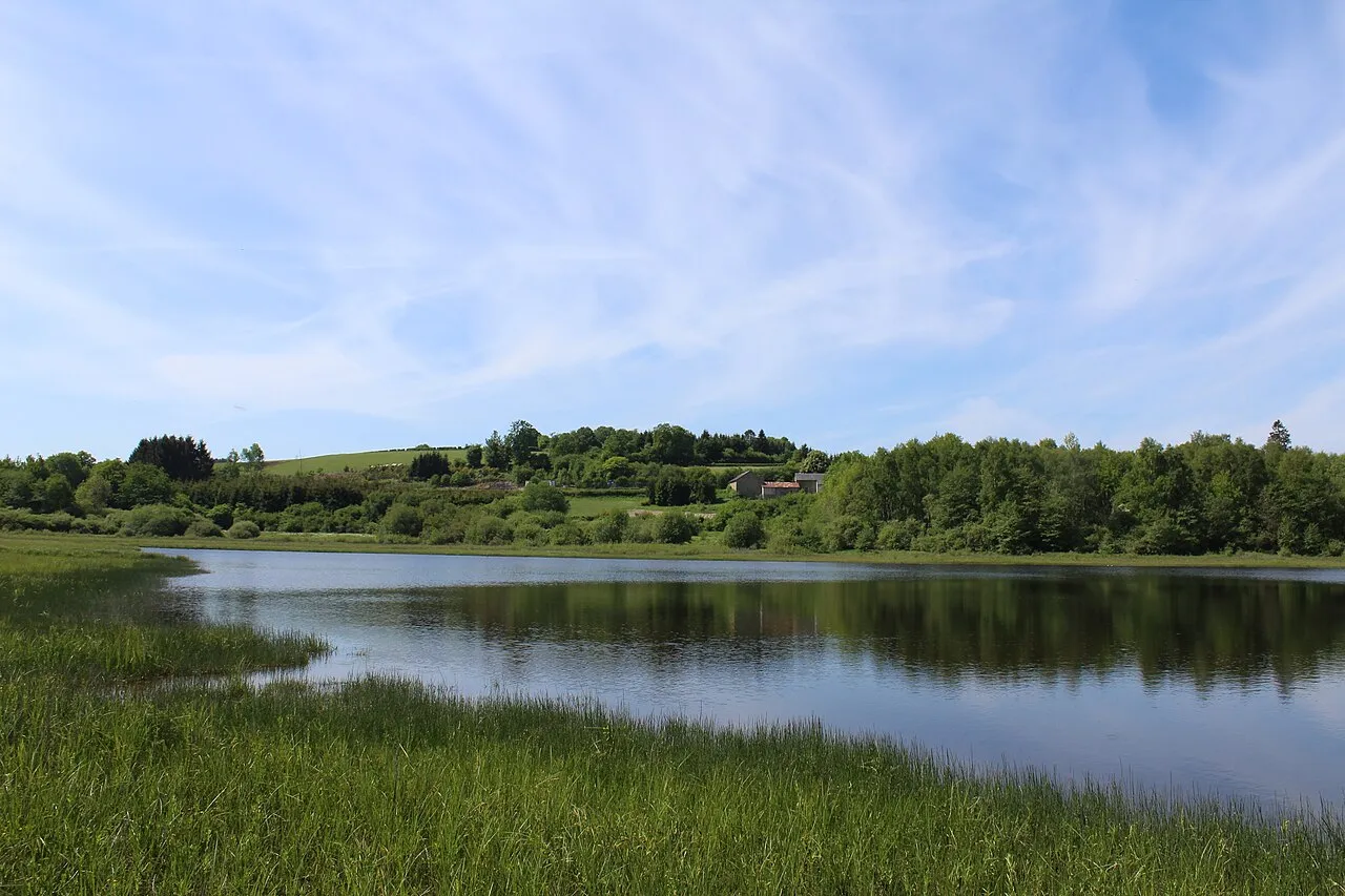 Etang Taureau dans le Morvan