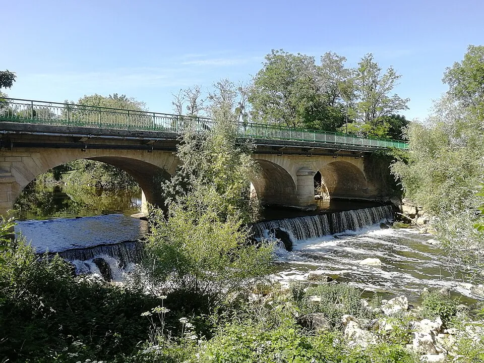 Rivière l'Ouche à Neuilly Crimolois (21)