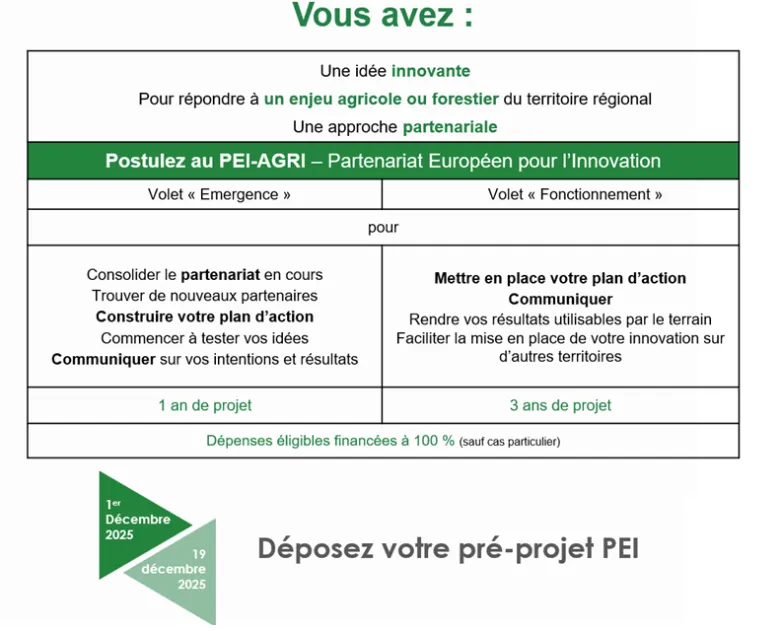 Shéma présentation PEI