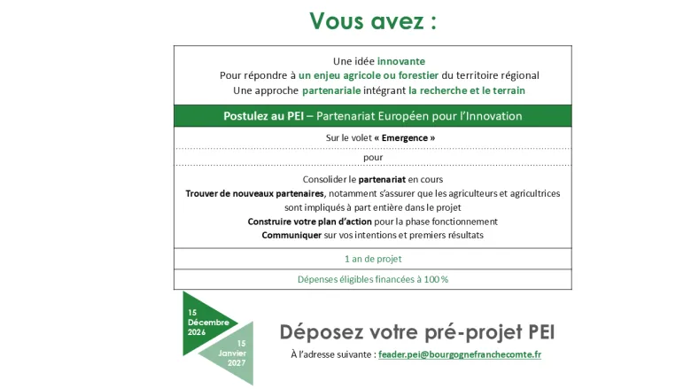 Visuel de présentation de l'AAP PEI 2027