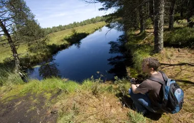 Photo Paysage de Tourbière Frasne