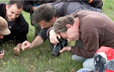Observation du conservatoire d'espaces naturels de Bourgogne