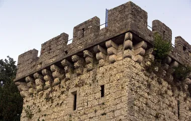 Tour du Paravis à Gray