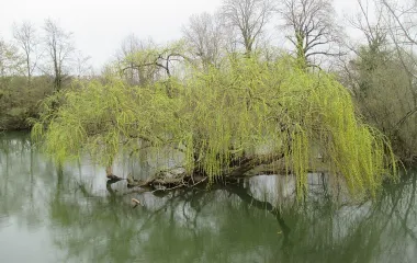 rivière Ognon en Franche-Comté