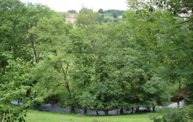 Paysage avec la rivière le Botoret en contrebas