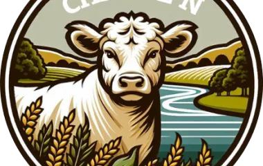 logo du projet CHAROL'N