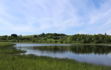 Etang Taureau dans le Morvan