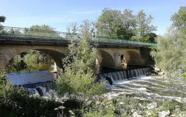 Rivière l'Ouche à Neuilly Crimolois (21)