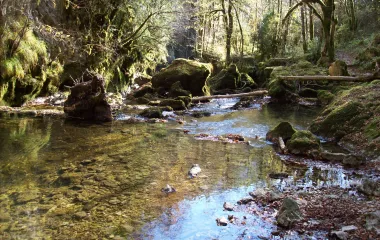 Trou de l'Abîme - Jura